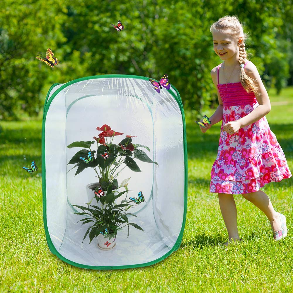 EVTSCAN Cage à Insectes Pliable 33 Cm – Maille Polyester, Poignées, Pour Papillons Et élevage