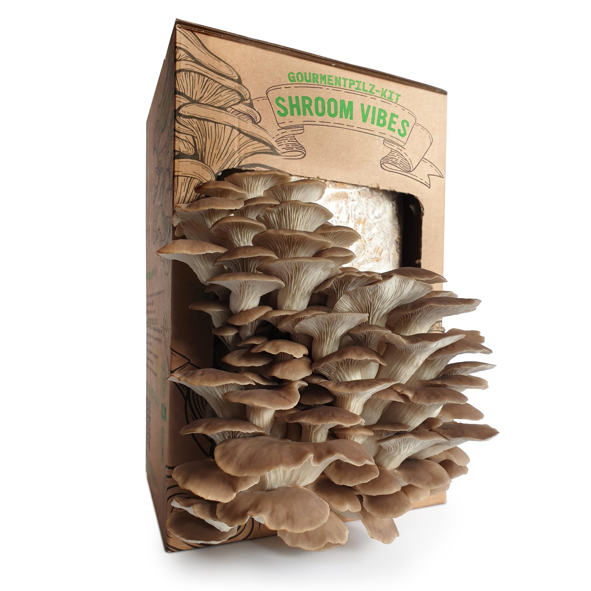 Spoon-Shaped Oyster Mushroom Growing Kit | Einfache Heimkultivierung | Reich an Protein und Nährstoffen | Gourmetgeschmack zum Kochen | Frische Ernte in wenigen Wochen
