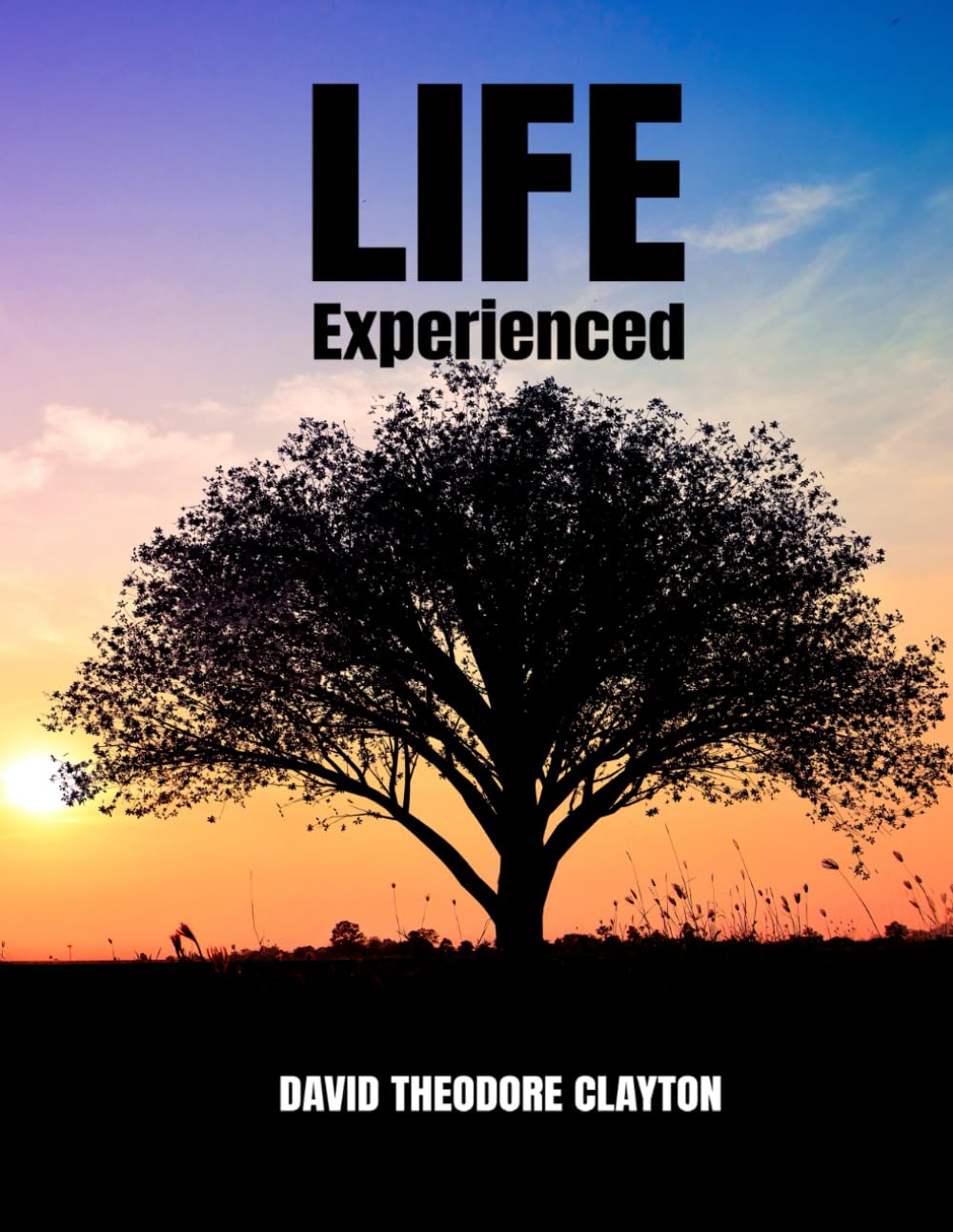 THE MEANING AND PURPOSE OF LIFE - EXPERIENCED