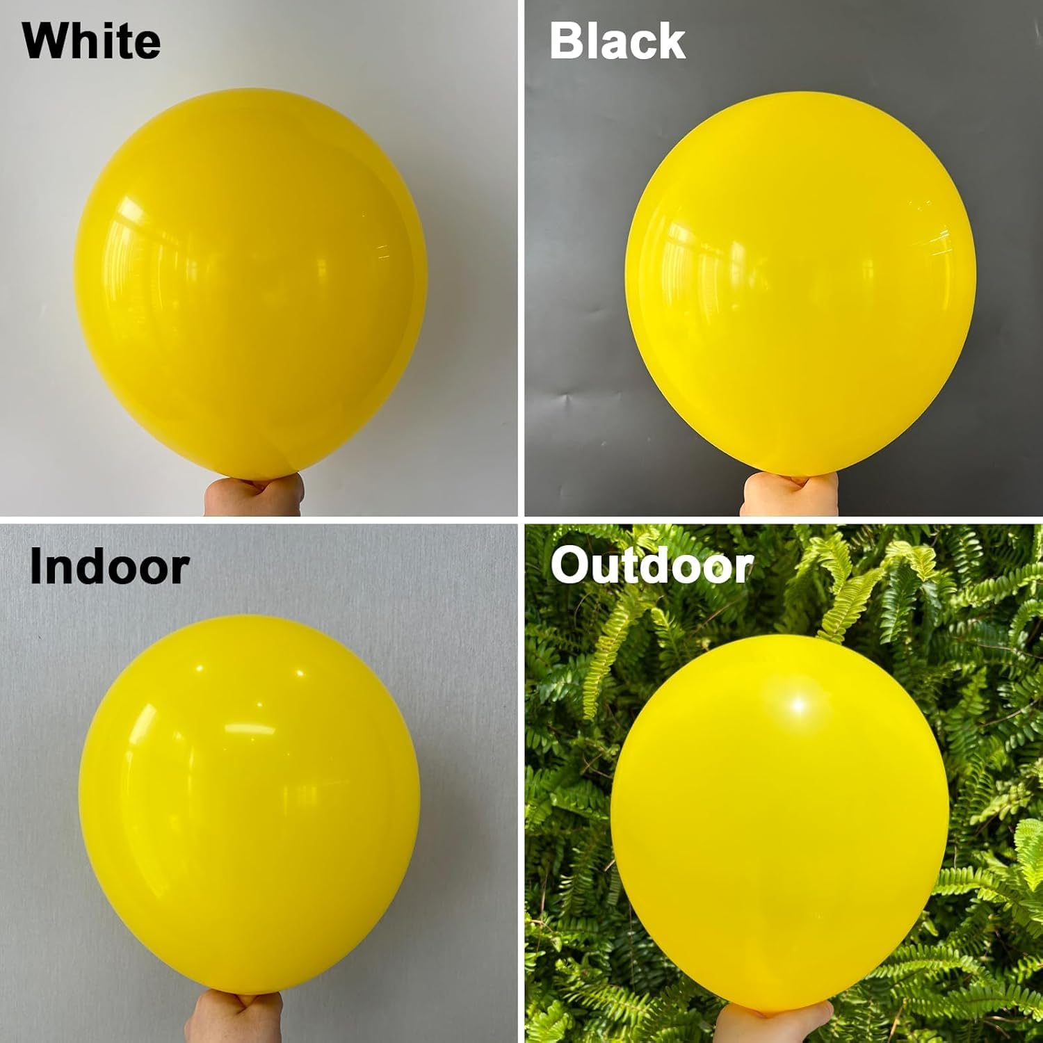 View 6