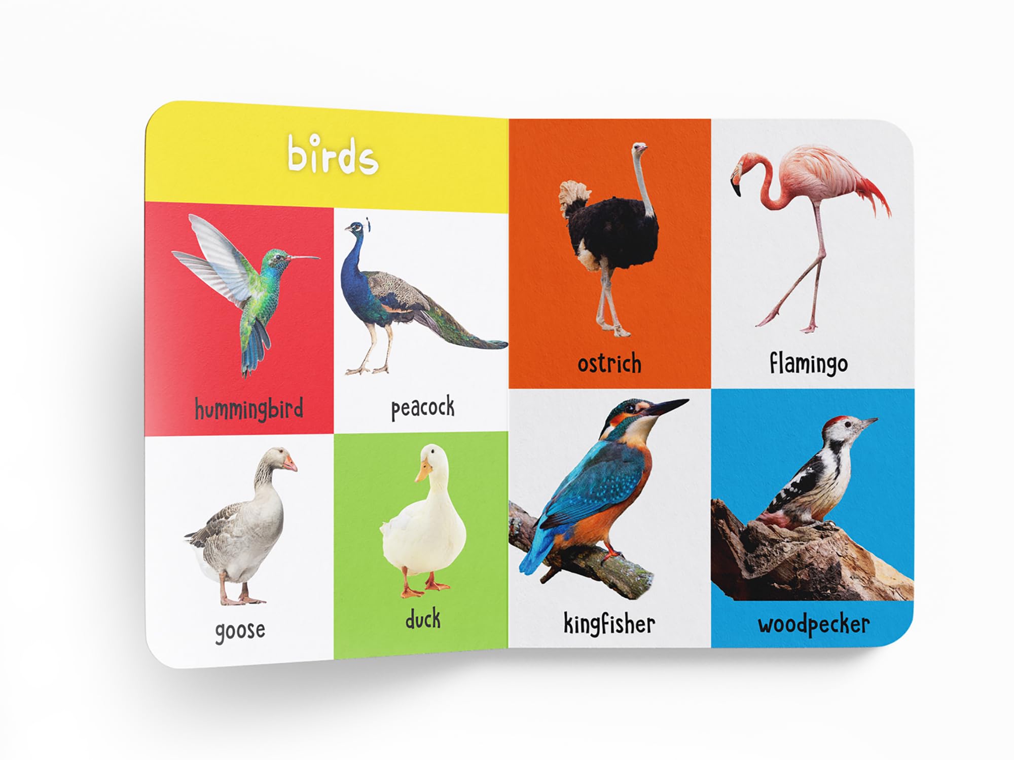 My First 100 Animals And Birds For Kids | Ages 0β5 Years | Board Book | Screen Free & Visual Learning | Wild & Farm Animals | Pets | Birds | Bright Picture Book | Vocabulary Building | Latest Edition 2