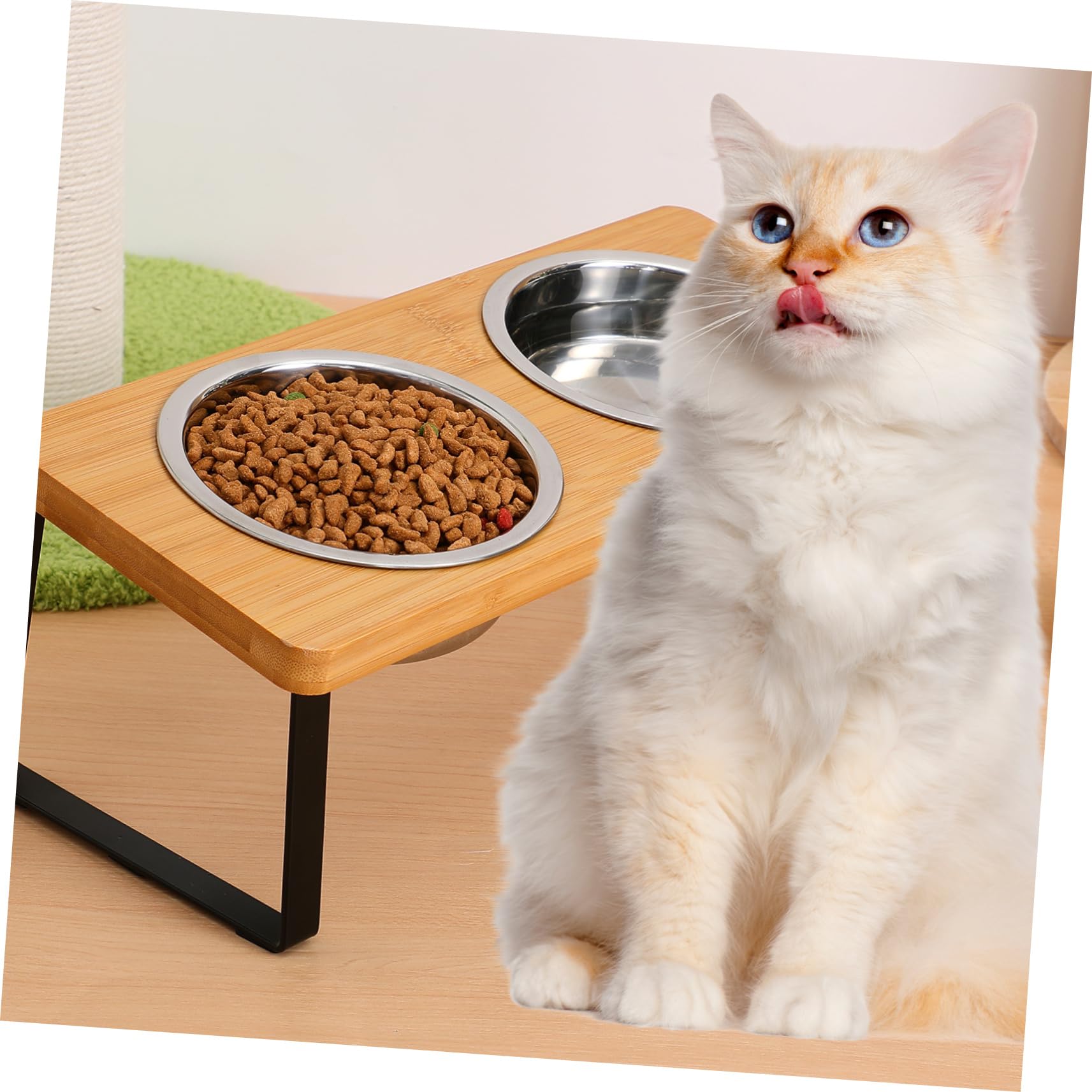 BESPORTBLE Ciotola Rialzata Per Gatti Con Supporto in Acciaio Inossidabile Doppia Ciotola Stazione Di Alimentazione Per Animali Domestici Postura E Digestione
