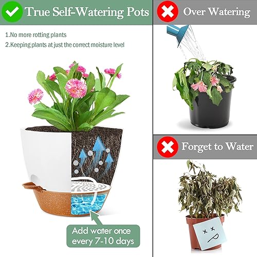 Miniatura 3 de Macetas de 1098 pulgadas con agujeros de drenaje y platillos, macetas grandes de riego automático para plantas de interior, macetas decorativas de