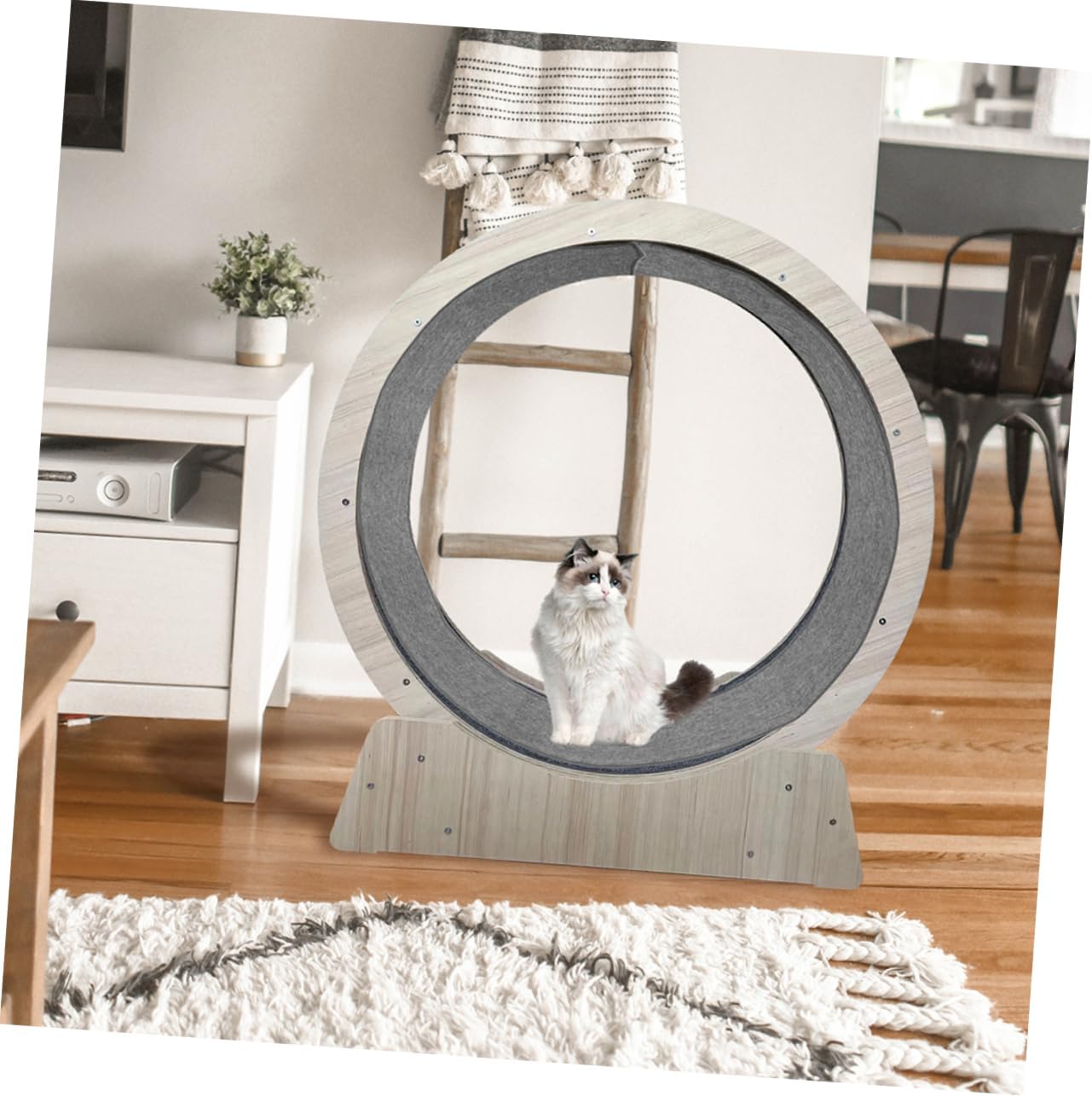 Exercise Wheel Replacement Mat Wear Resistant for Indoor Cats Comfortable Fitness Mat Scratch Resistant Track Cushion