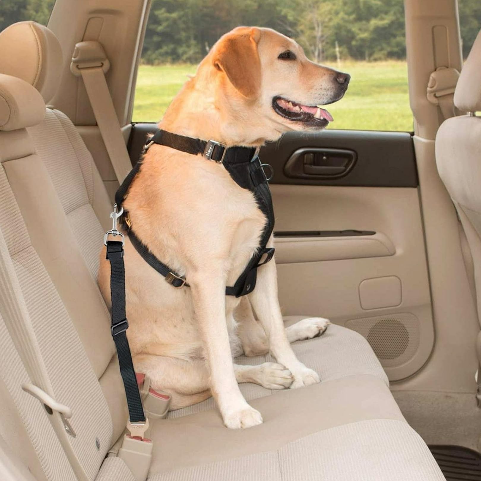 2 Pièces Ceinture Chien Voiture,Harnais Laisse de Sécurité Chat Securite Chiens Accessoires Attache Rallonge Transport en Accessoire Animaux Attacher,pour Chats Les Laisee et Chiot Compagnie Laisses