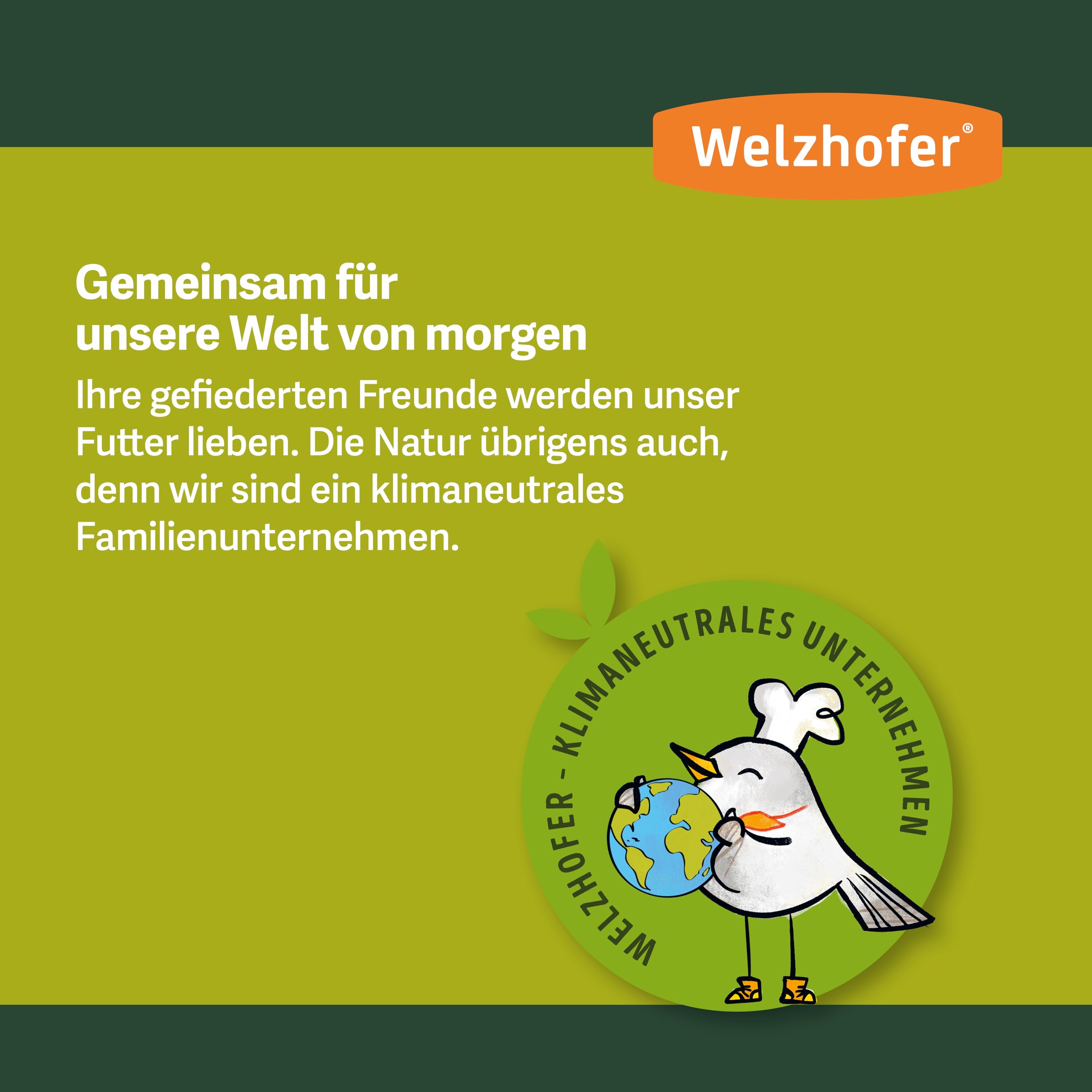 Spezialfutter 10kg - Schalenlose Mischung für Wildvögel für Balkon & Terrasse, perfekt für Beeren- & Körnerfresser. Gesunde Ernährung, Basis für Vitalität & Starkes Immunsystem