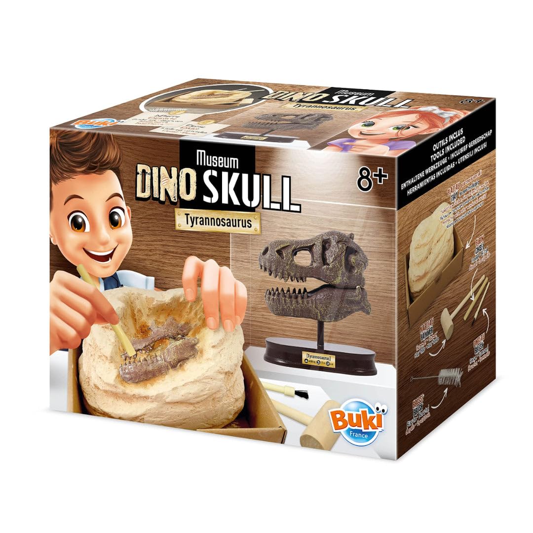 Buki Museum Dino Skull Tyrannosaurus - Maitre des Jeux
