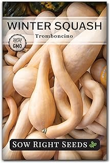 Sow Right Seeds - Tromboncino Rampicante Squash Seeds for Planting - Non-GMO Heirloom Packet with Instructions to Plant a Home Vegetable Garden - Grow Tasty Squash at Home, Great for Cooking