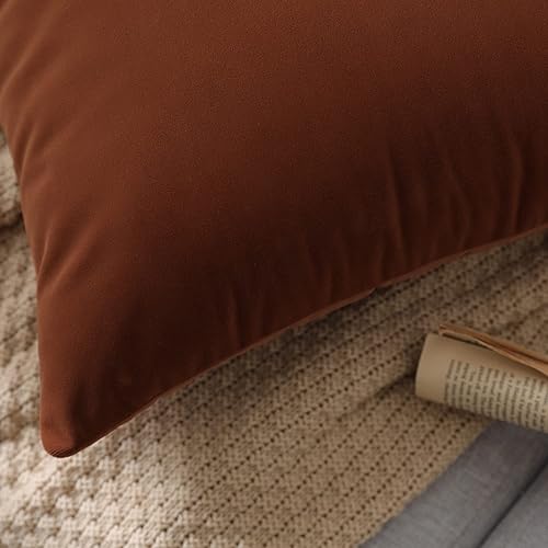 Vista 91 de Juego de 2 fundas de almohada de terciopelo para sofá y cama, 18 x 18 pulgadas, color verde azulado