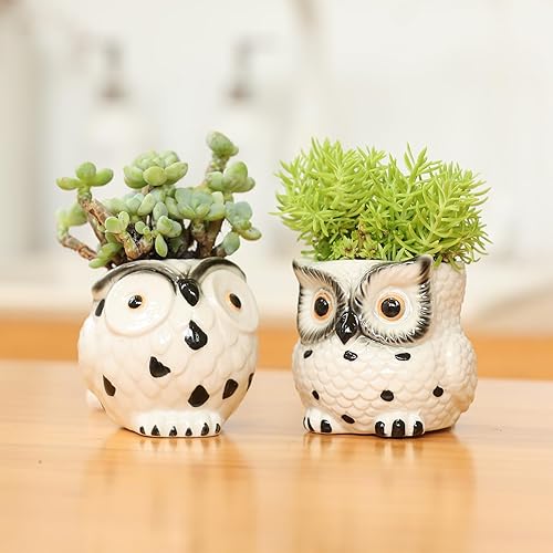 Miniatura 2 de Macetas de cerámica de búho, mini macetas de 3 pulgadas con soporte para lápiz de drenaje, bonita decoración, maceteros de flores, embalaje de