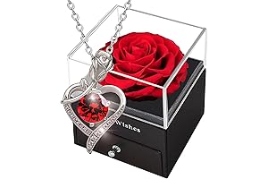 Forever Rose Gift Box with Necklace: Celebrate Mothers Day with Eternal Beauty