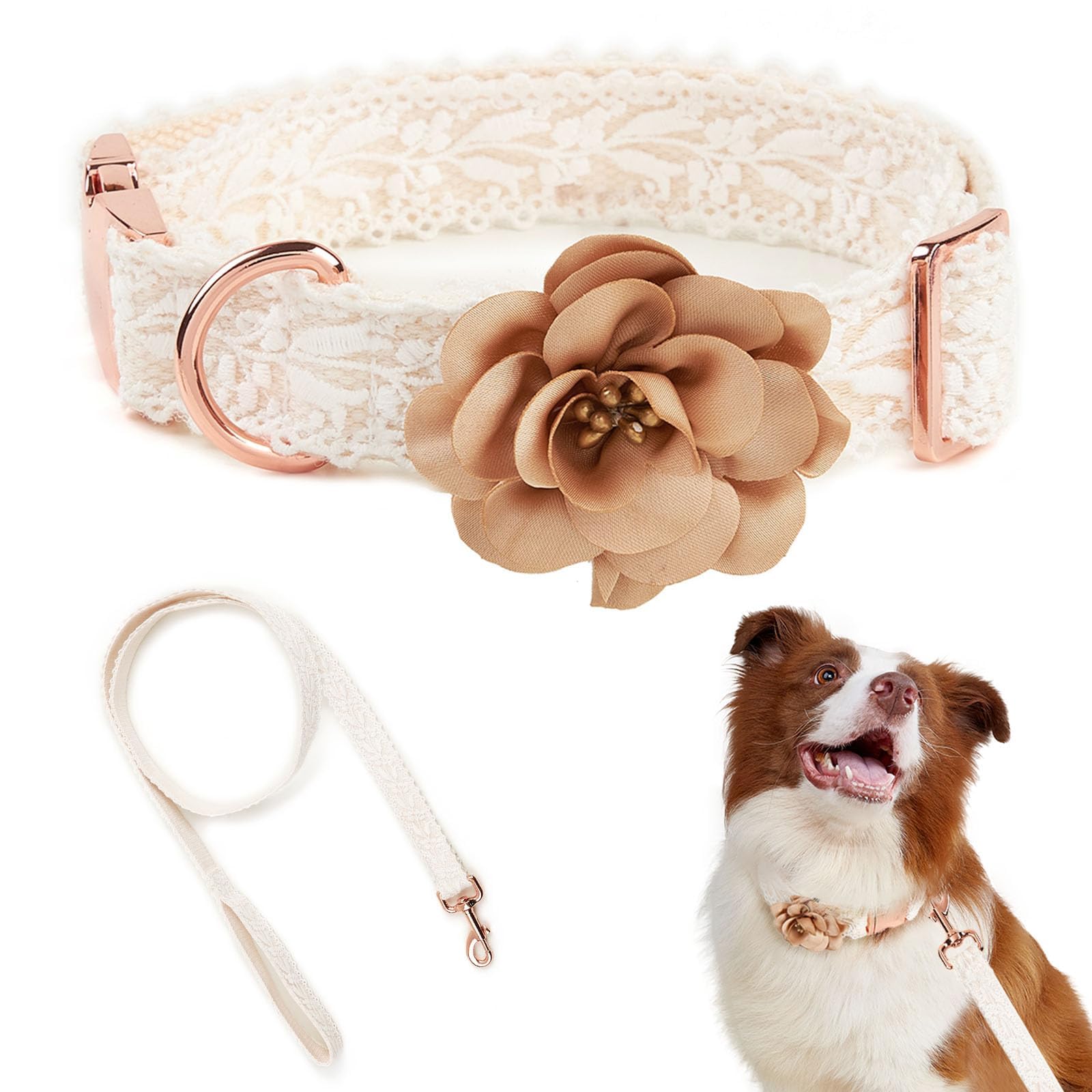 Fashion Flowers Embroidered Premium Lace Dog Collar Set with Metal Clasp Leash - Adjustable for Small, Medium, Large Dogs,M