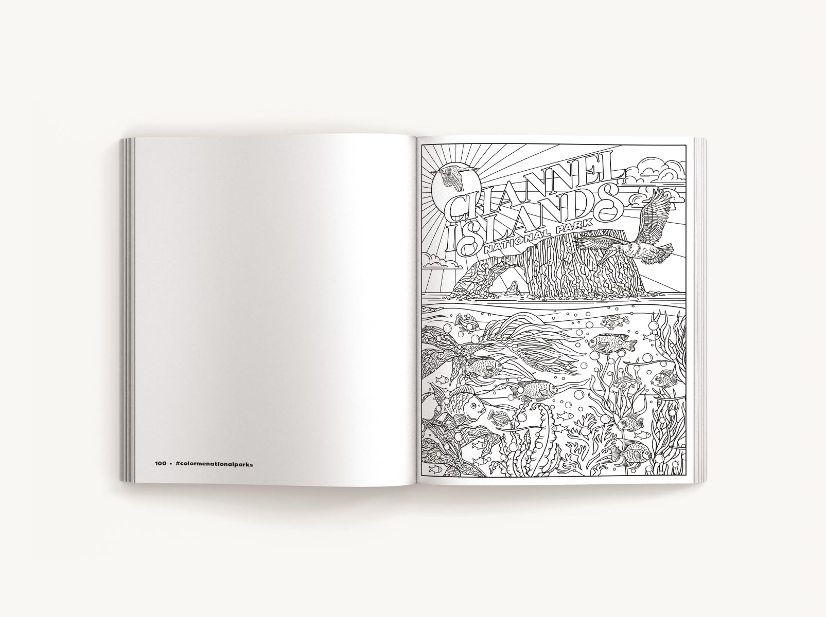 Color Me National Parks: An Adventurous Coloring Book (Color Me Coloring Books) - Image 7