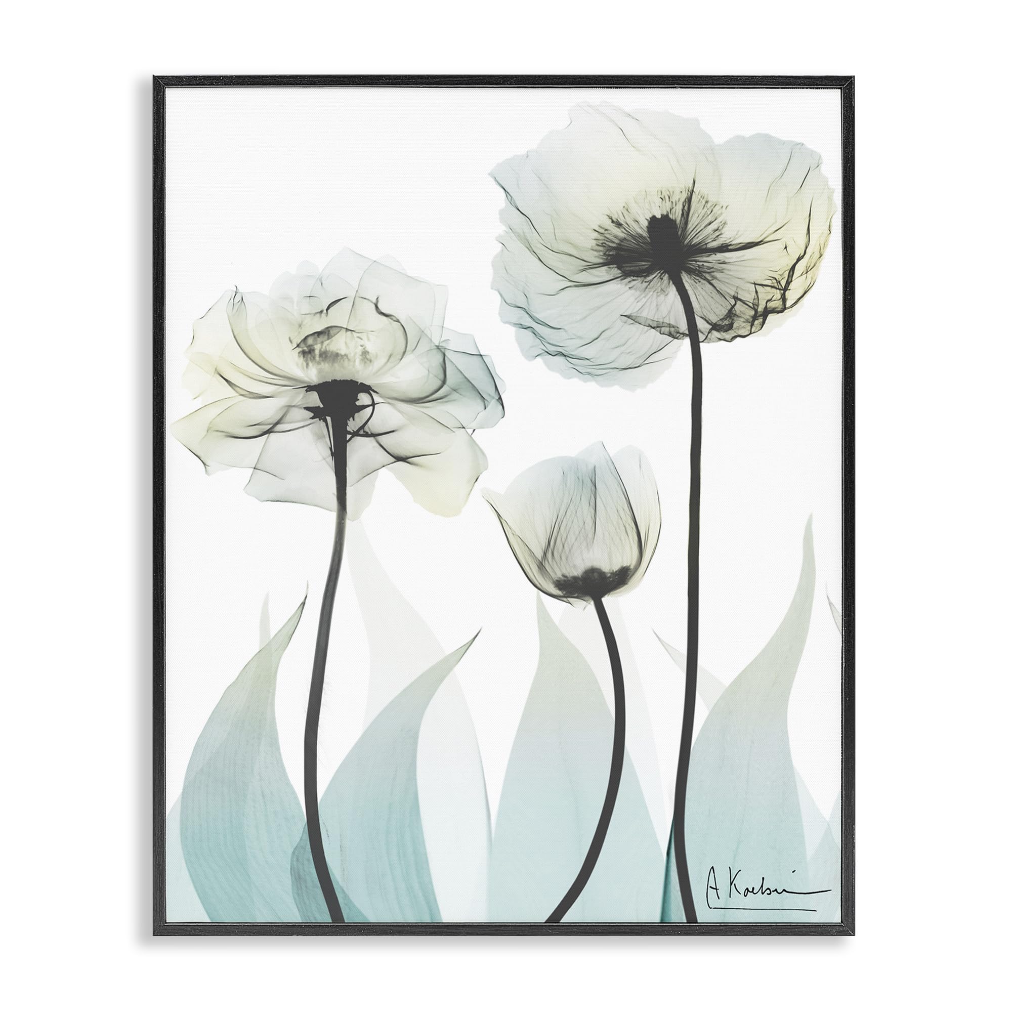 Stupell Industries Midnight Black (Textured) Ethereal Floral Botanical Elegance, 24 X 30 Inch Framed Giclée Print