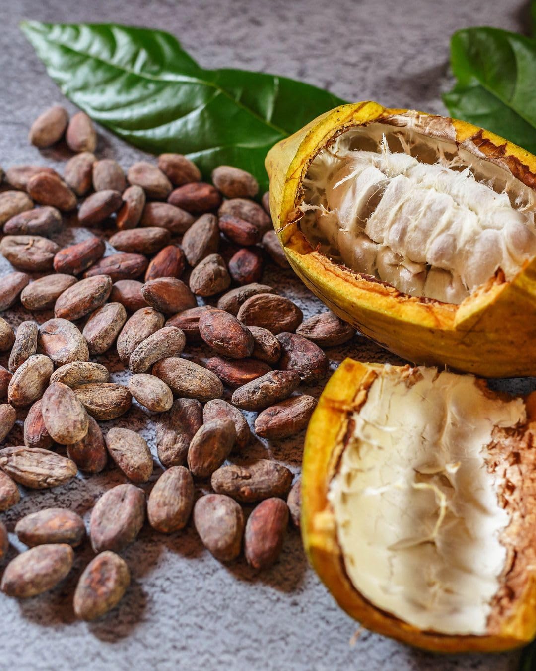 Kovafood Organic Raw Cocoa Seeds, Cacoa seed. 2LBS for making Chocolate, Cocoa Powder and butter. Product of Ghana