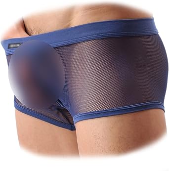 Men's Underwear Sexy Mesh Breathable Boxer Briefs Low Rise Cool Boxers Pack Set