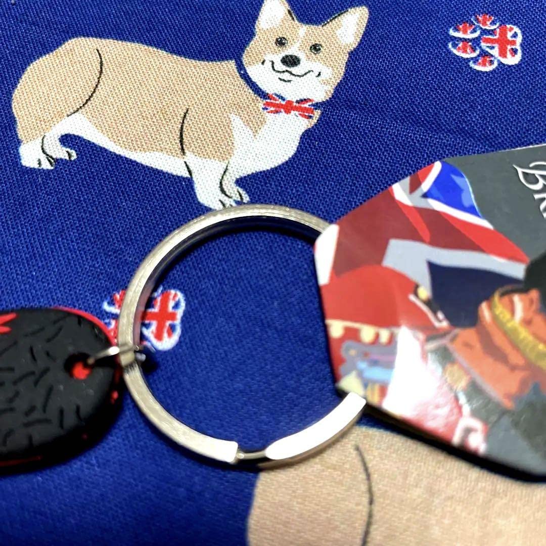 Amazon.co.jp: ヒストリックロイヤルパレス イギリス ロンドン 衛兵 