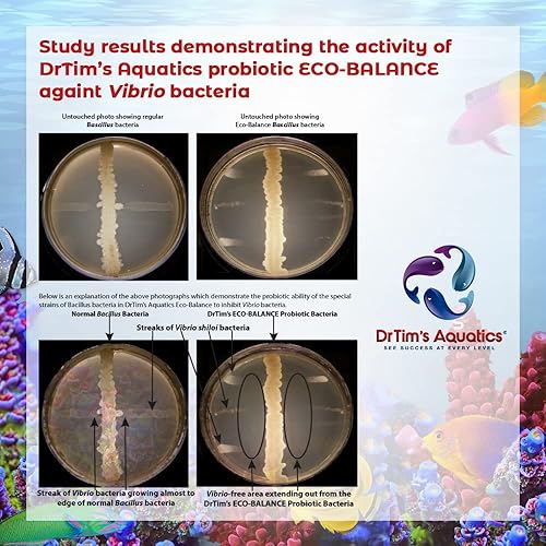Miniatura 6 de DrTim's Aquatics Eco-Balance para acuarios de agua salada bacterias probióticas de apoyo múltiple para mantener un ambiente equilibrado de pecera, 4