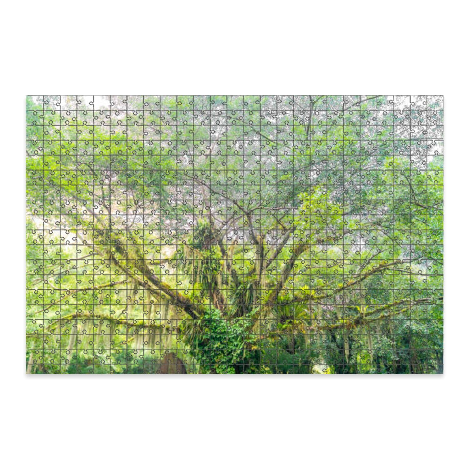 1000 Pieces Puzzles Wooden Letter Area Design A Tropical Mount Qingcheng Nanning Guangxi China Puzzle Gifts for Adults Children Family Jigsaw Puzzle Improve Concentration