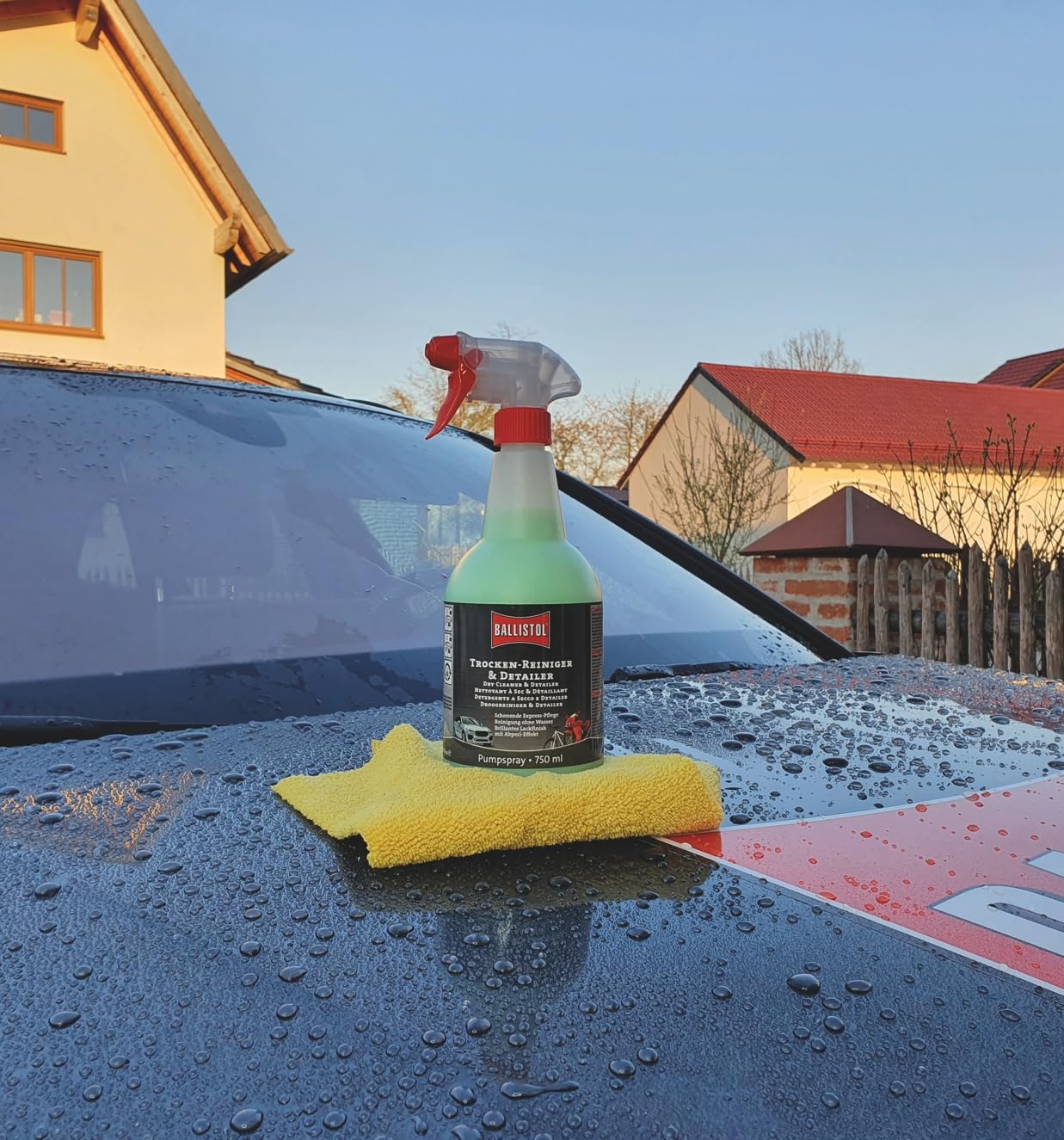 Ballistol środek do czyszczenia na sucho & Detailer pielęgnacja lakieru samochodowego i motocykla, 750 ml