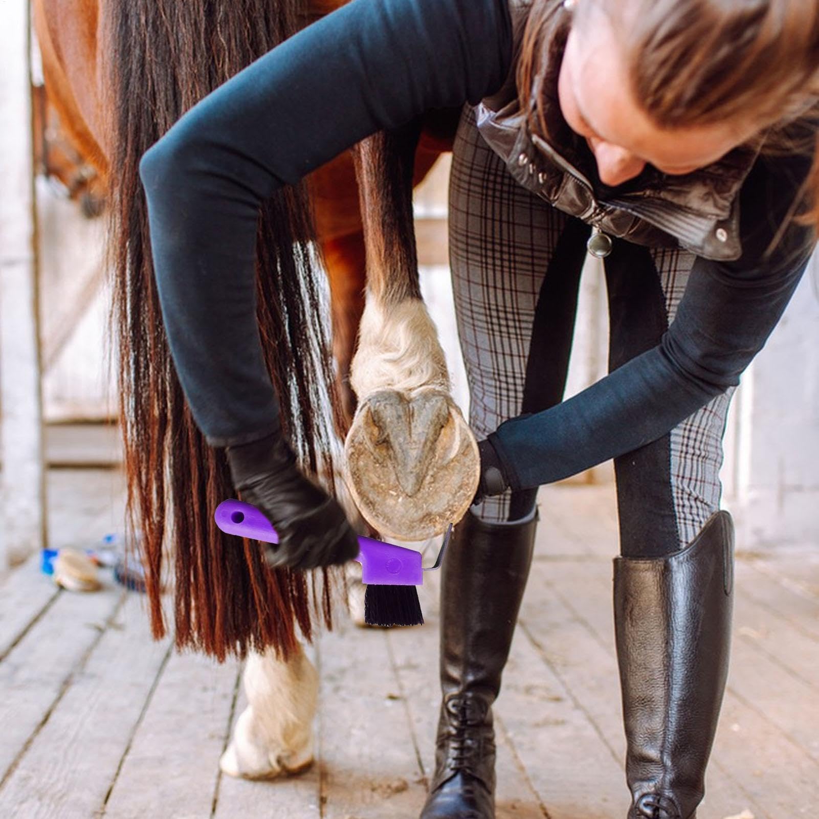 Selección De Pezuñas De Caballo - Cepillos Y Pulidor De Pezuñas De Caballo 2 En 1 | Púa De Pezuña Colorida Con Mango Ergonómico Para Suministros De Limpieza Y Aseo De Caballos Para Niños Y Niñas