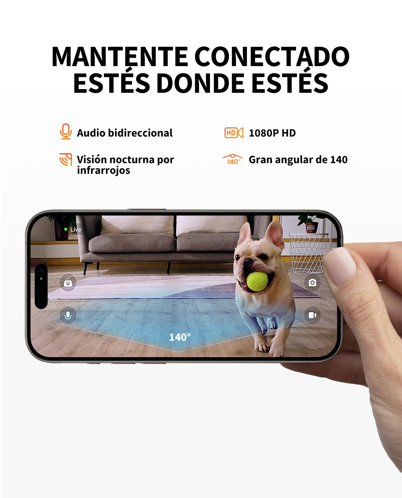 Vista detallada del bol de acero inoxidable del alimentador automático PETKIT YUMSHARE SOLO.