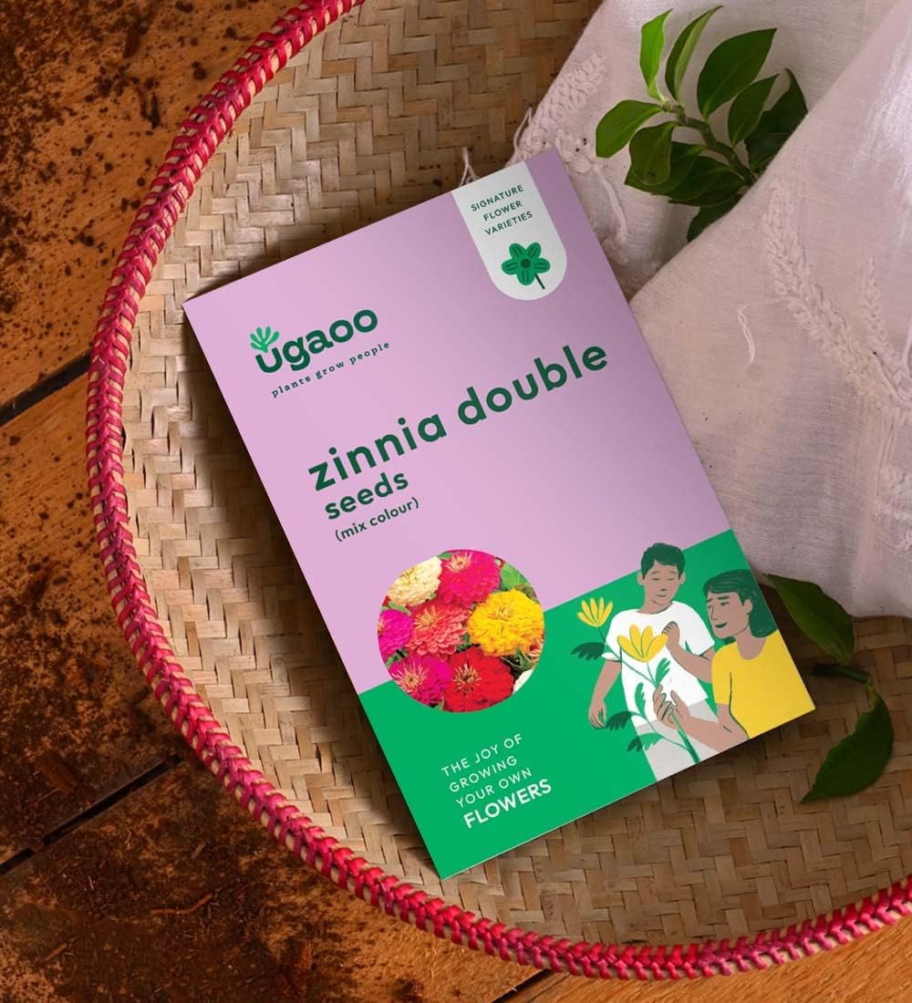 UGAOO Zinnia Double Flower Seeds (Multicolour, Pack of 200)