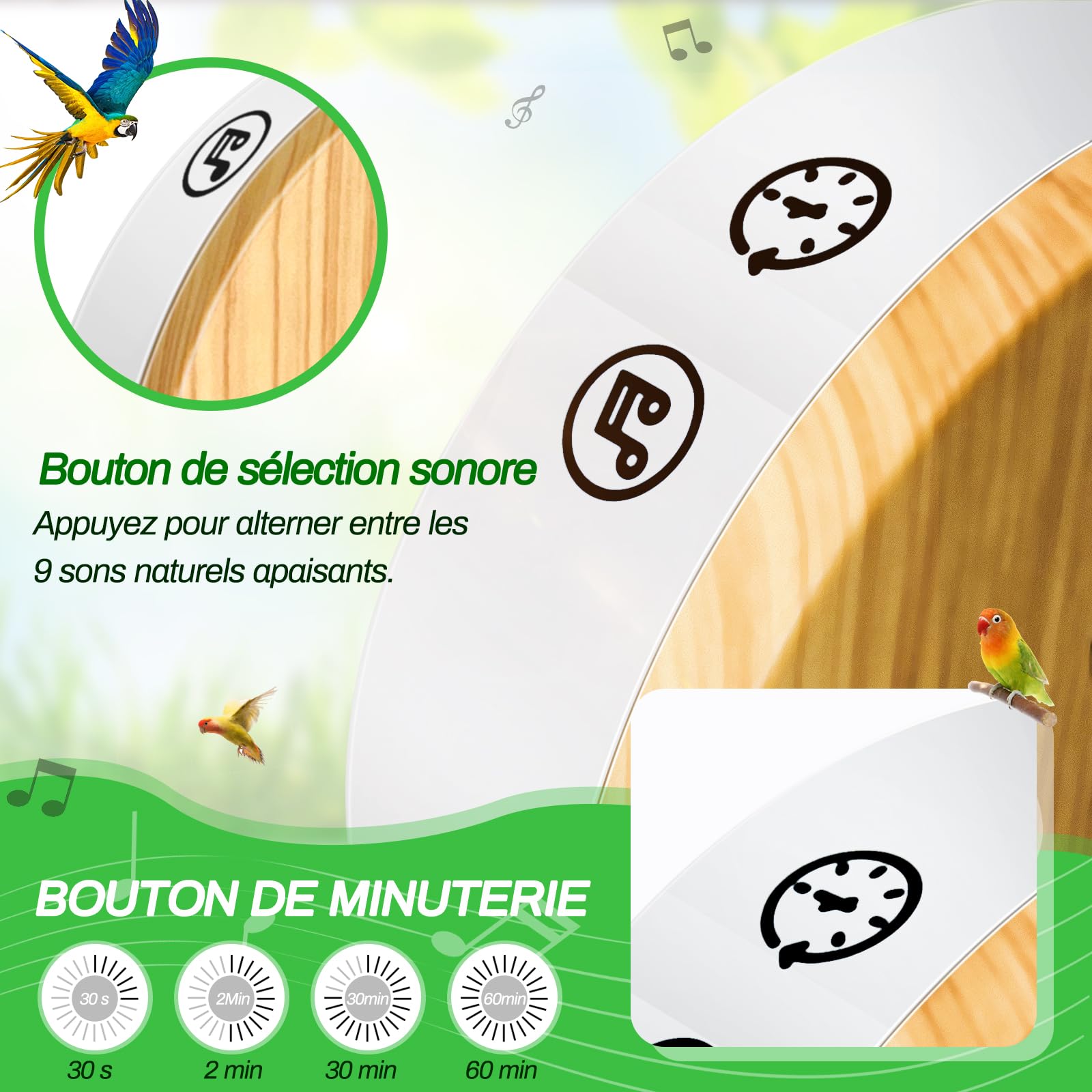 Boîte détecteur de Mouvement avec Chant d'oiseaux, Rodukee Boîte Soundbox Oiseau avec Minuterie, 9 Naturels Birdsongs, Murmure de Ruisseau, Source Forestière, Boîte à Musique Relaxante et Détente
