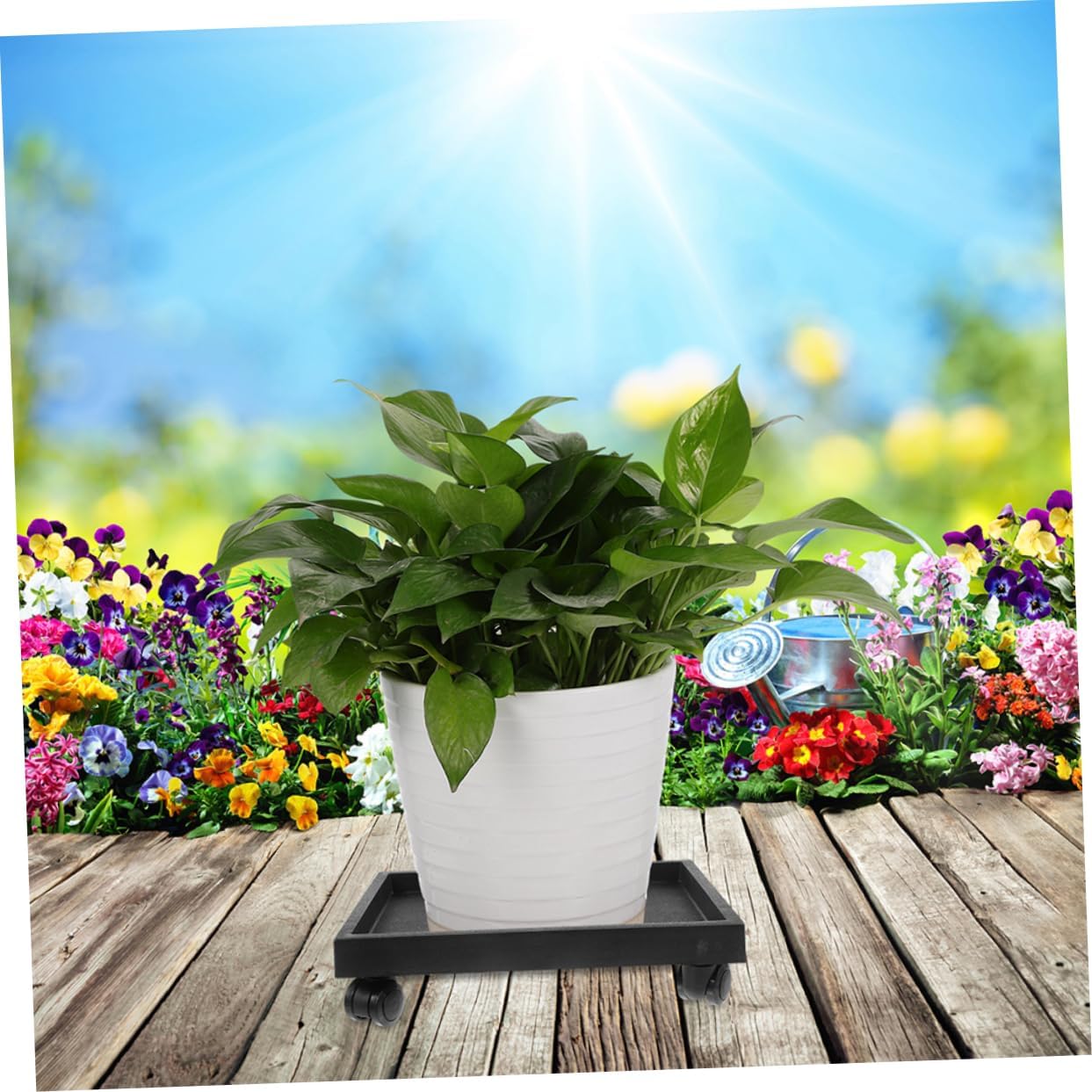 Movable Plant Tray with Wheels Heavy Duty Pe Planter Holder for Use Flower Pot Base with Smooth Wheels for Lightweight and Practical