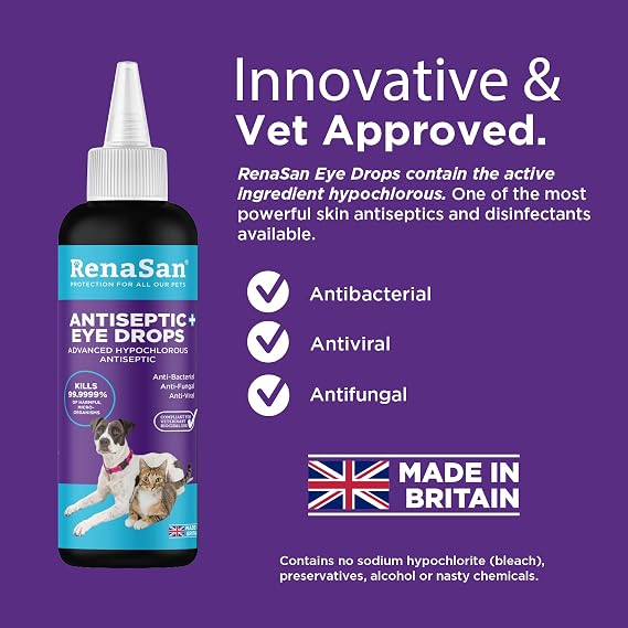 RenaSan Antiseptic Eye Drops (100 ml) – Eye Disinfection, Alcohol-Free, Non-Irritating and Natural Eye Cleaning Solution for Dogs, Cats, Reptiles, Poultry, Avian & Livestock