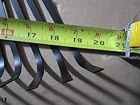 Review Image by Dana Dana