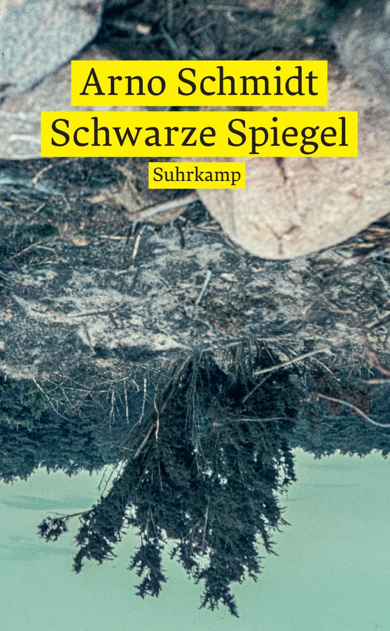 Suhrkamp Verlag Schwarze Spiegel (Suhrkamp Taschenbuch)
