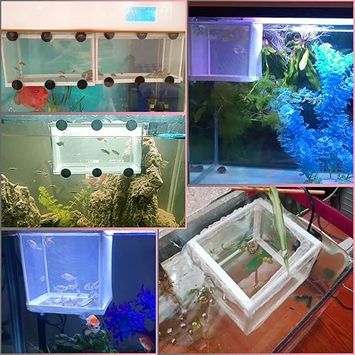 Miniatura 4 de Paquete de 2 cajas de criador de peces de acuario, caja de malla grande para freír vivero, caja de red separador de peces para criadero, divisor de