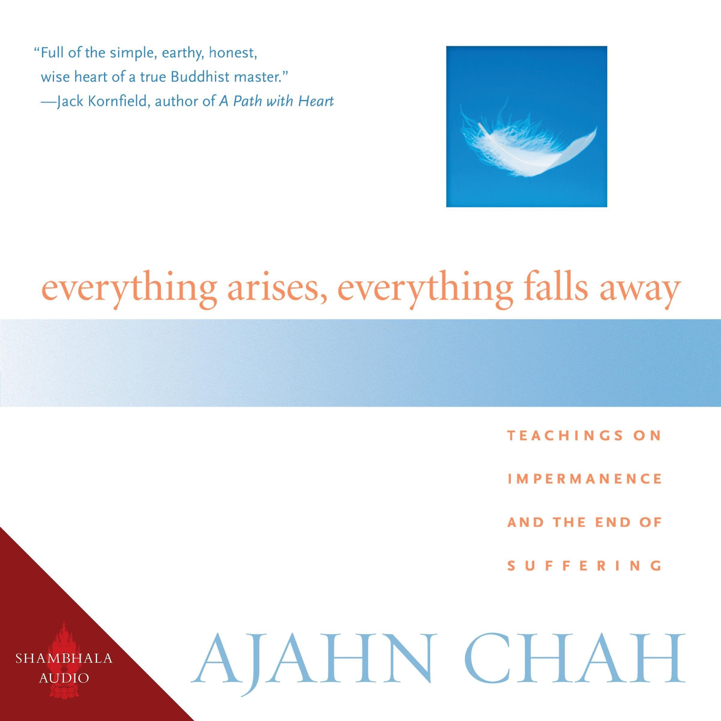 Cover art for Everything Arises, Everything Falls Away