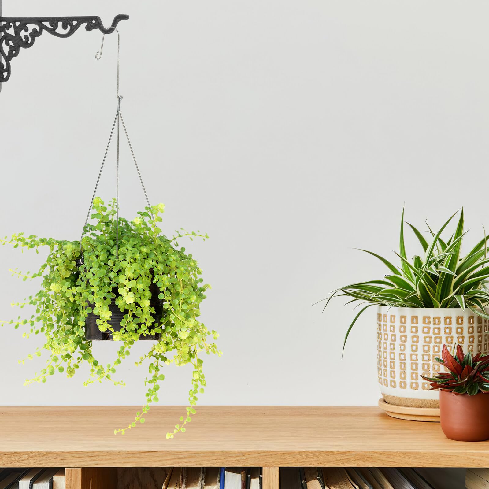 ibasenice Crochet en Fonte Noir Vintage pour Jardinières Suspendues, Support Robuste avec Vis et Écrous, pour Jardin et Extérieur, Maintien Sécurisé des Pots Métalliques
