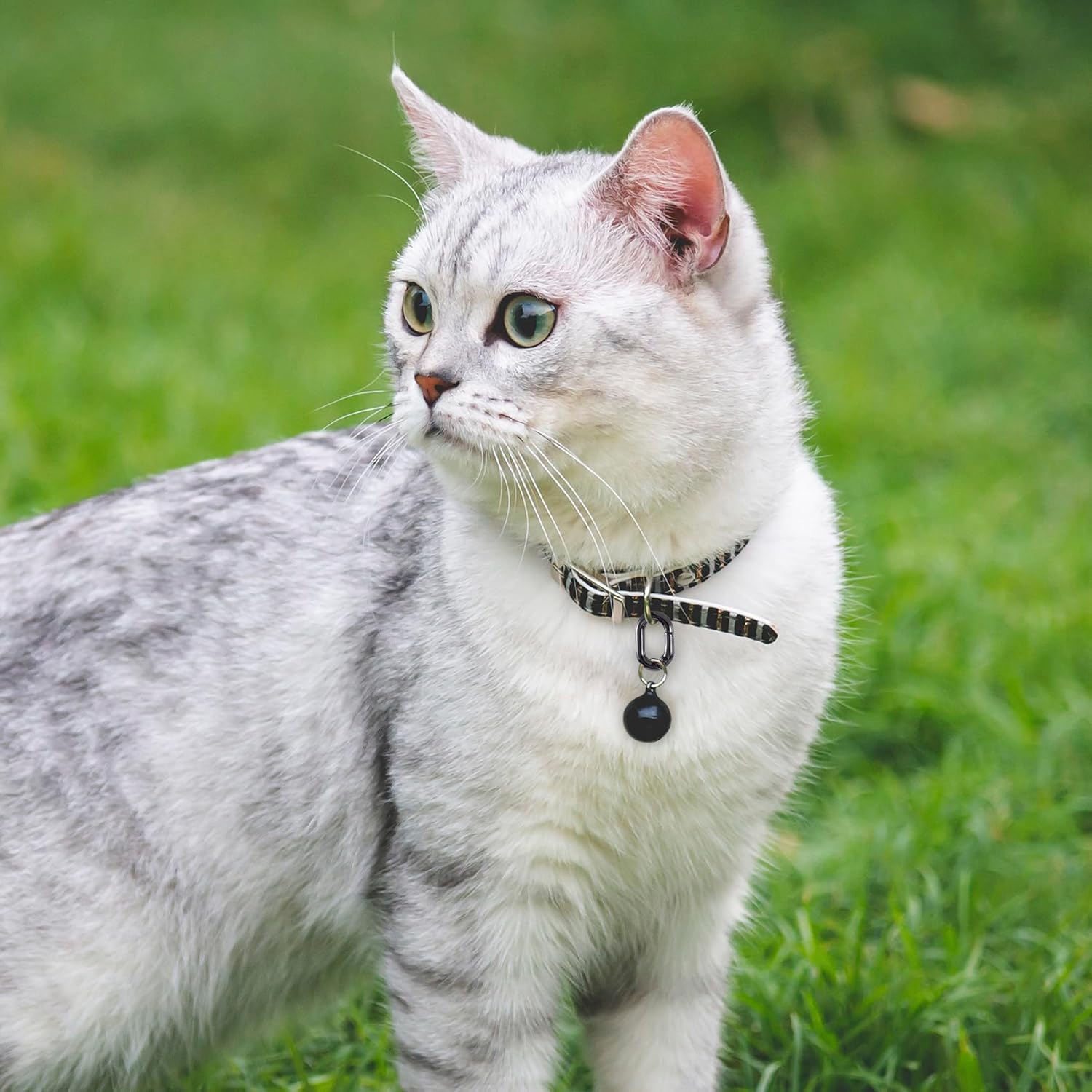 20Pcs Metal Spring Keyring, 14mm Black Oval Rings Snap Clips Buckle Claps Connector Accessories for Bags Necklaces Bracelets Purses Keychain - Image 4