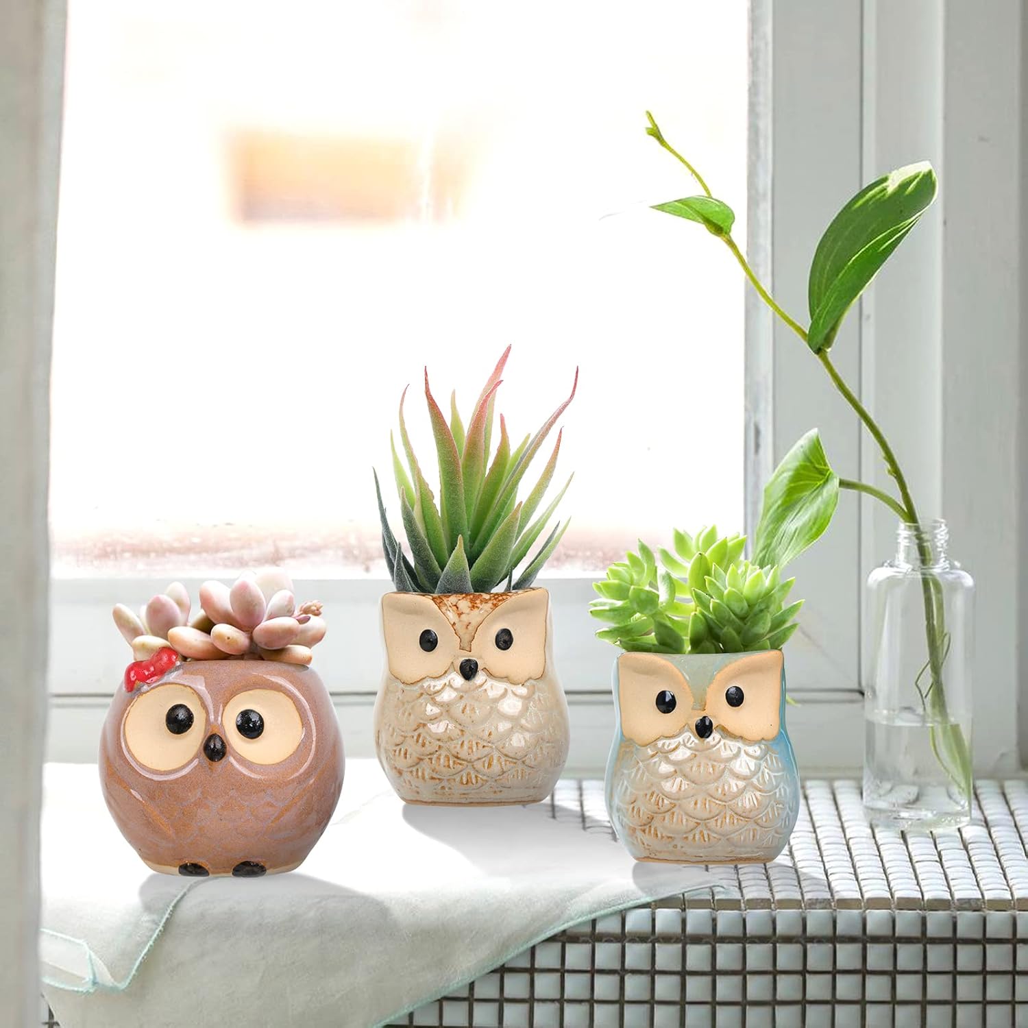 Whonline 8pcs Owl Pot Ceramic Succulent Plant Pot Cactus Plant Pot Flower Pot Container Planter with Drainage Hole Home Office Desk Garden Gift Idea 2.5 Inch : Patio, Lawn & Garden