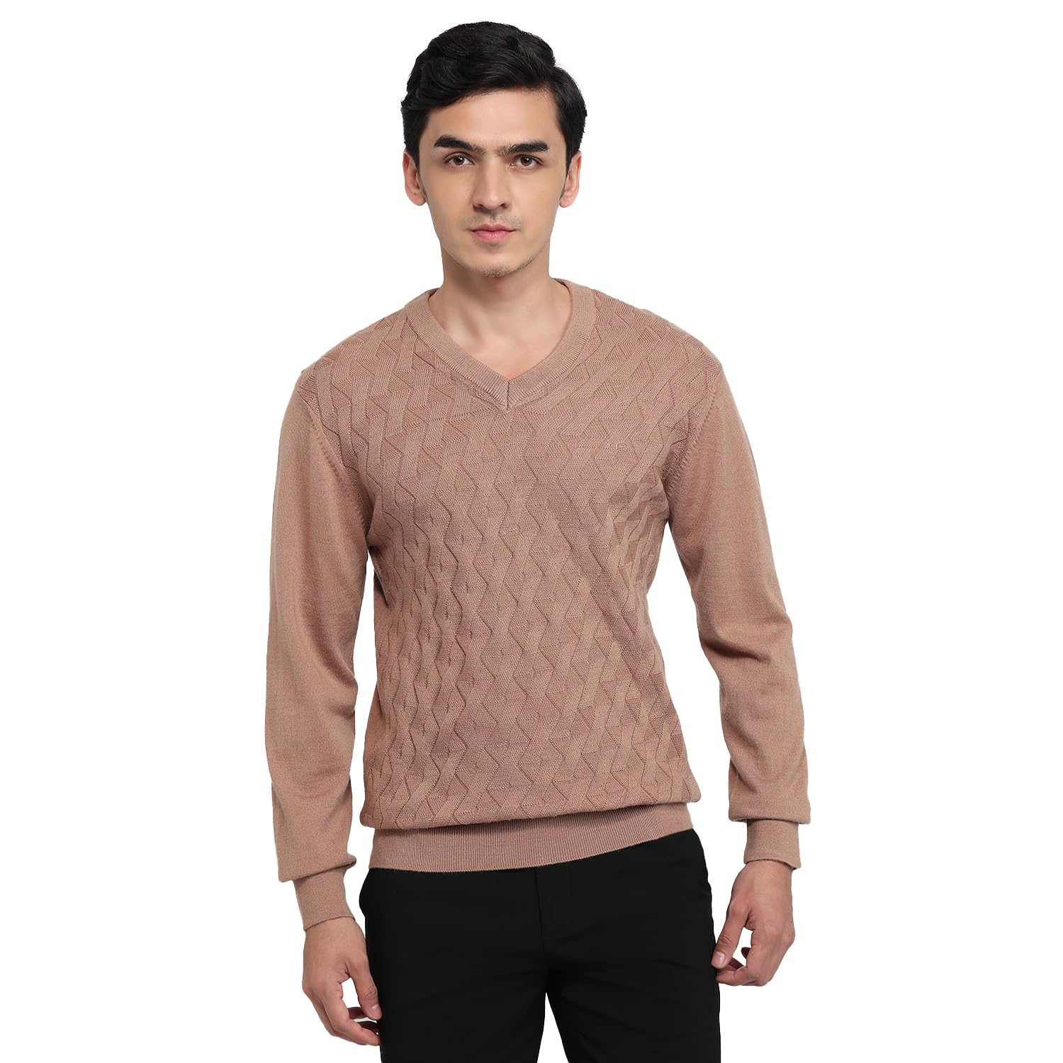 colorplus Men Regular Fit Solid Pattern Merino Wool Acrylic Blend Full Sleeve V Neck Casual Sweater-picture-37