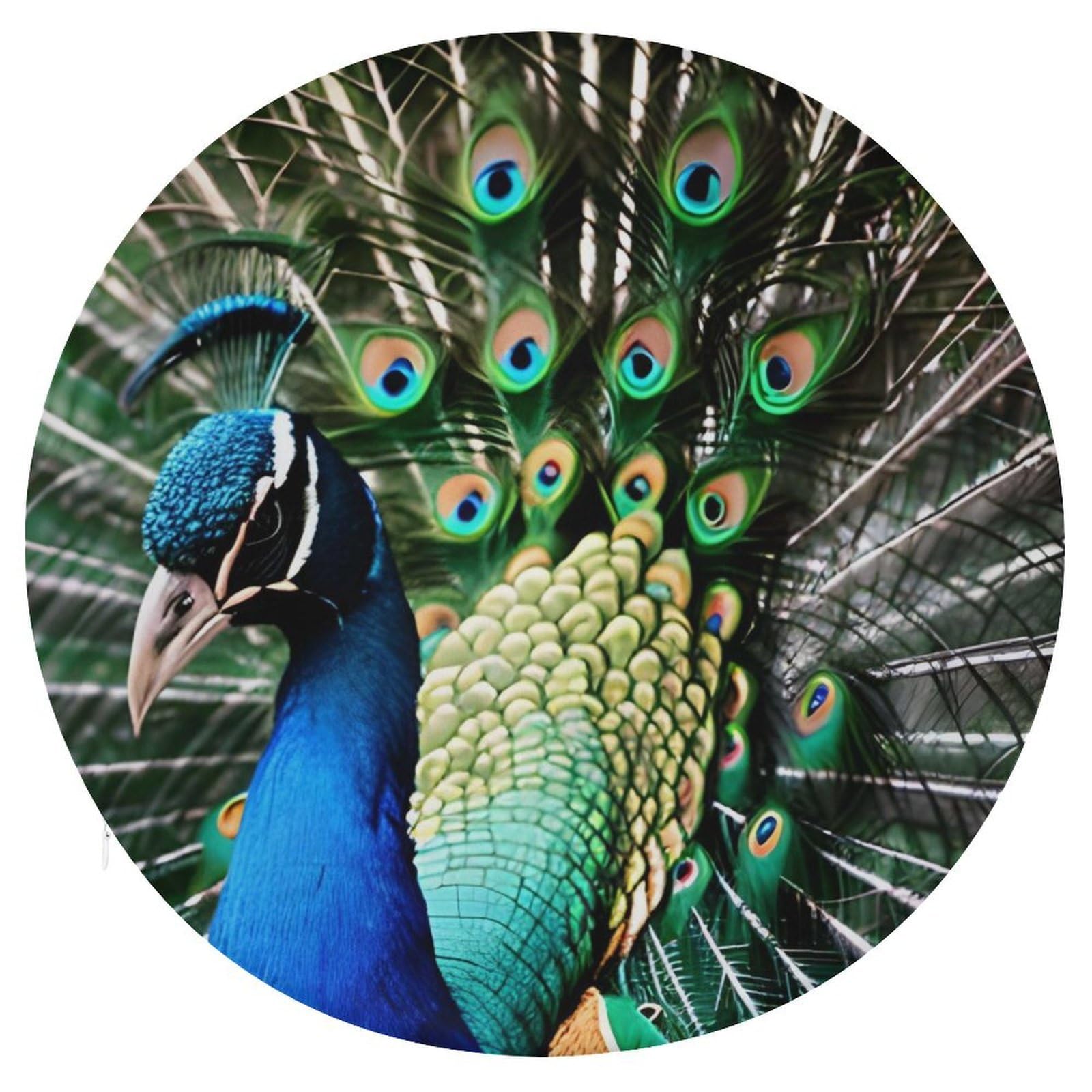 JTREHY Peacock Cushion Soft Breathable Round Cushions Multi-Functional with Zipper Floor Pillows Cushion for Various Indoor Occasions Chair Pad