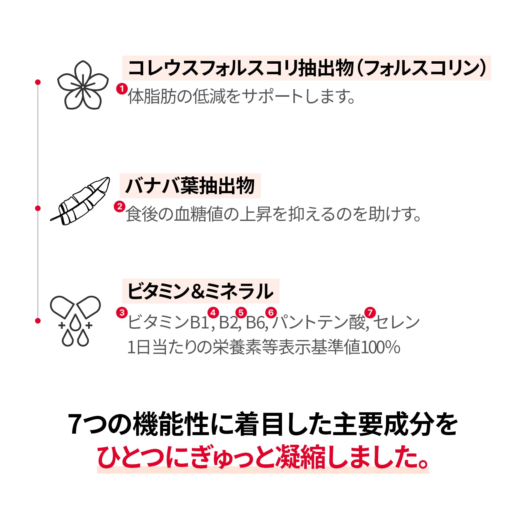 Amazon | 【公式】フードオロジー FOODOLOGY コレオロジーカットプロ