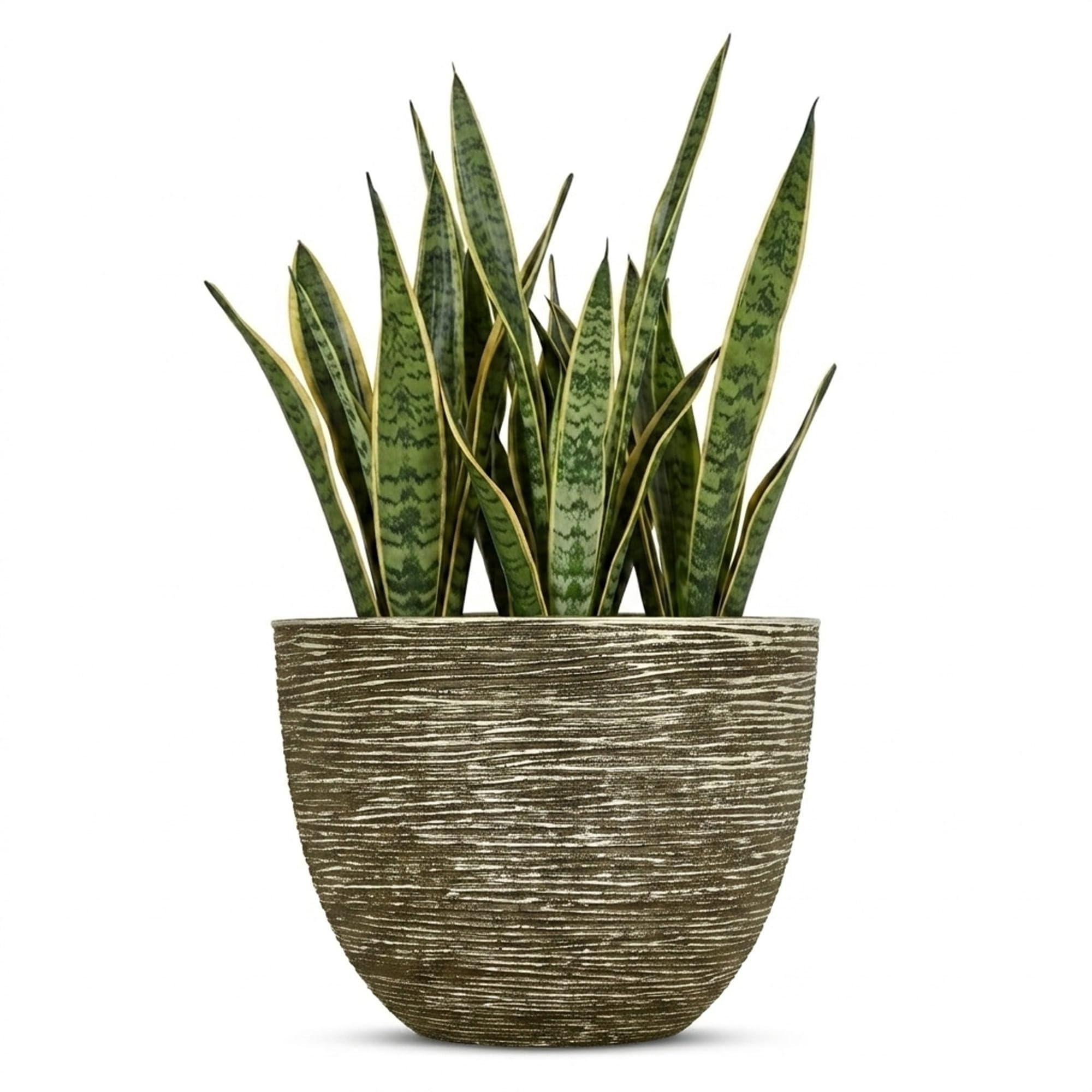 SG Traders Premium Plant Pots and Garden Planters Stylish Large Plant Pot Planter for Outdoor & gardens Use Durable Pots and Planters to Enhance Your Garden with Beautiful Planter (29 cm)