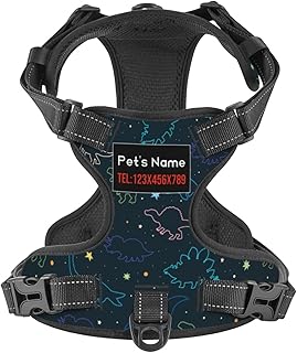 Custom No Pull Dog Harness, Personalized Cute Galaxy Dinosaur Dog Vest with Pet Name Phone Number, Customized Adjustable Reflective Pet Harness for Large Medium Small Dogs Cats Outdoor Walking