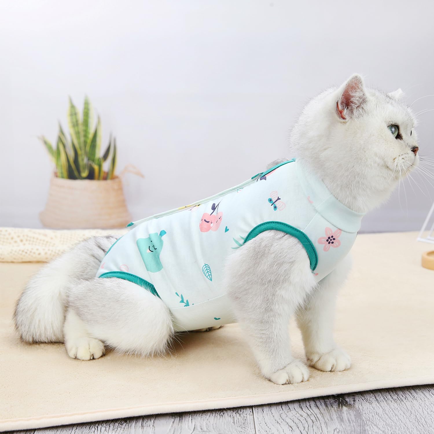 Tuta Post-operatoria Per Gatti In Poliestere, Verde, Per Interventi E Sterilizzazione, Misura Busto 38 Cm, Peso Fino A 2.5 Kg