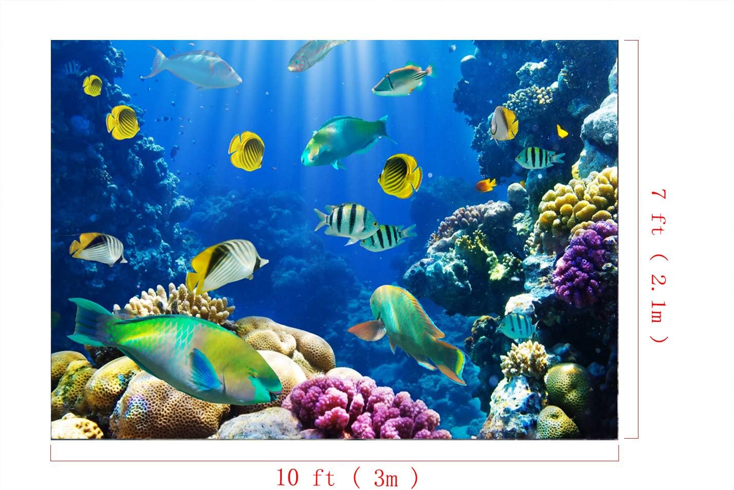 Grеаtеѕt Prоduсt Beautiful Coral Reef World Photo Studio Backdrop 7X5FT /10x7FT Colorful Underwater Fishes Light Props Wall Photography Background EY008