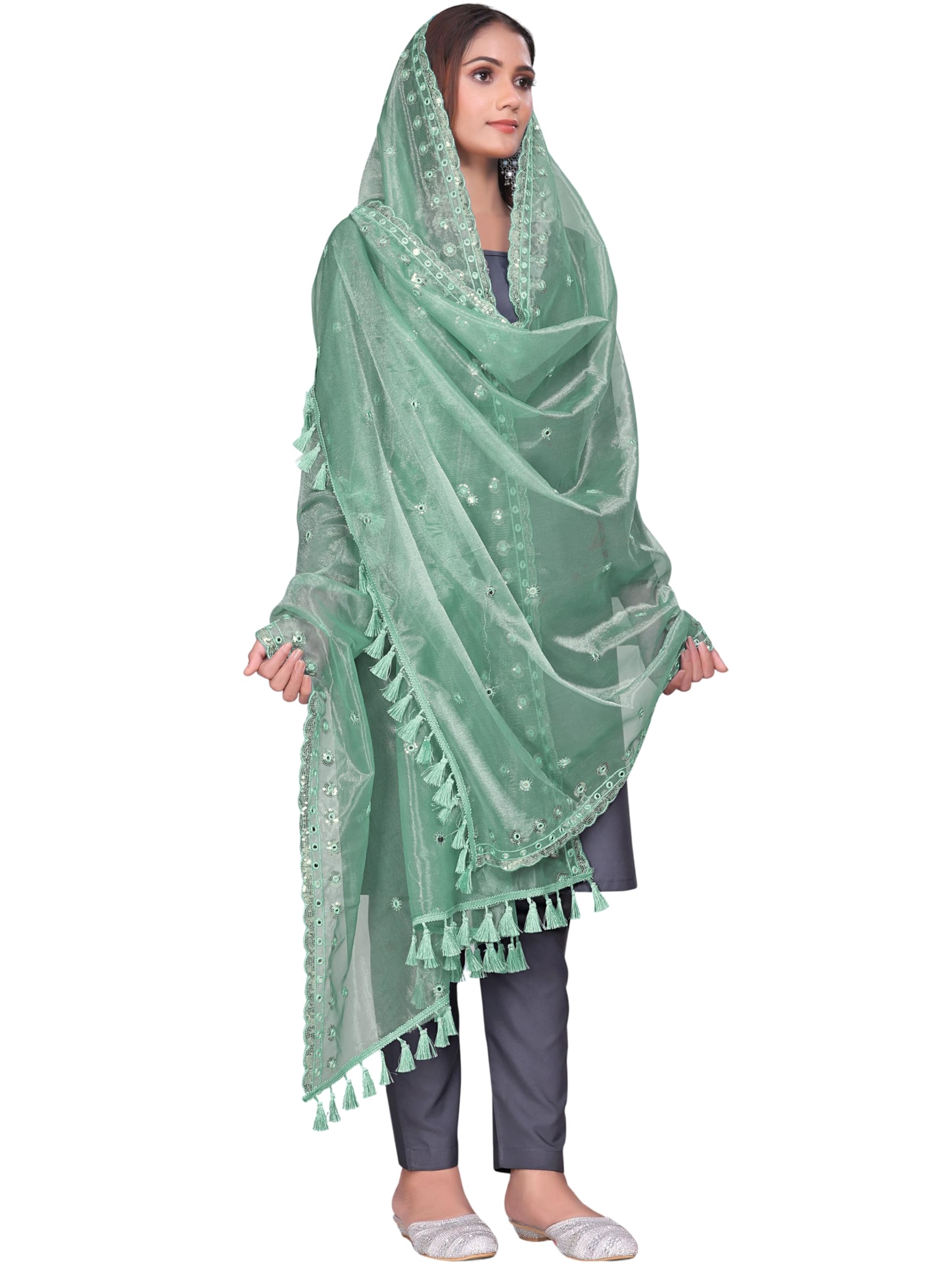 Organza Embroidery And Sequins Work Striped Mirror Dot Dupatta With Tassels-image-4