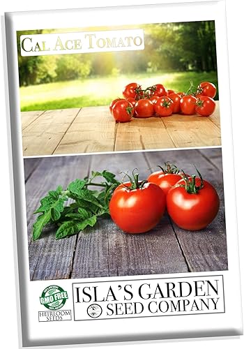 Miniatura 6 de Cal Ace VF Semillas de tomate para plantar, más de 300 semillas tradicionales por paquete, semillas de jardín de Isla (semillas de jardín de Isla),