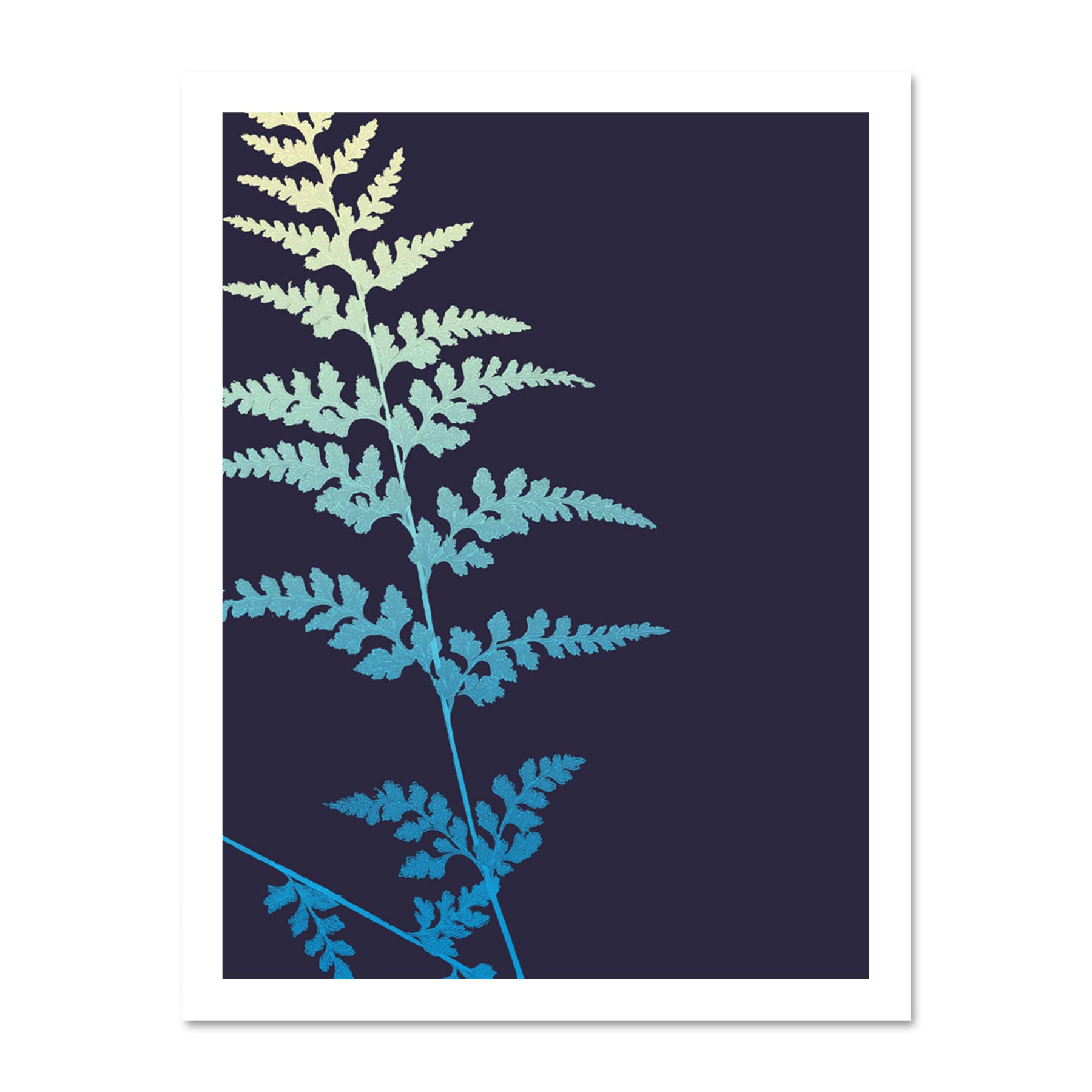 Wee Blue Coo Bright Fern Illustration Large Framed Art Print Wall Poster 18x24 inch