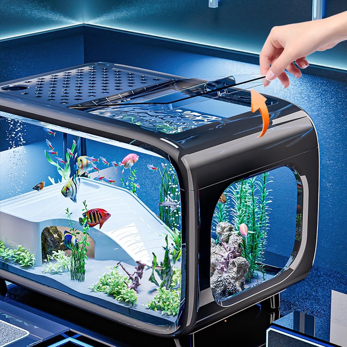 Amazon | Wapik 小型水槽セット 金魚飼育セット アクアテラリウム ベタ