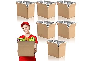 Six Pack Insulated Shipping Boxes for Cold Distribution, 21" x 14" x 11"