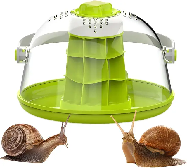 Terrarium pour Lézards | Cage Respirante pour Reptiles et Petits Animaux